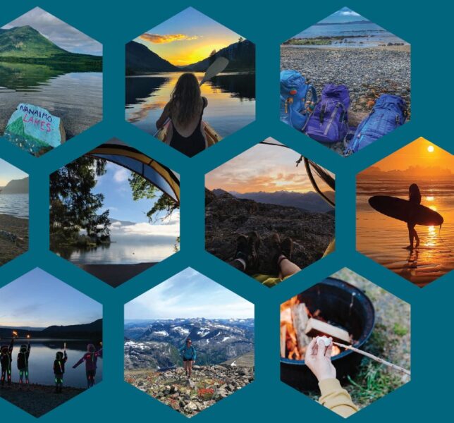 Mosaic Forest Campsites