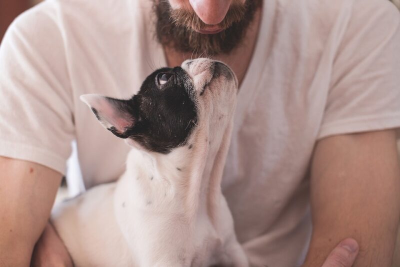 Buddies Natural Pet Food Ltd.