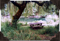 Greendale Riverside Cabins